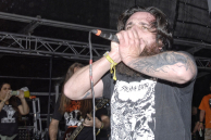 Rot